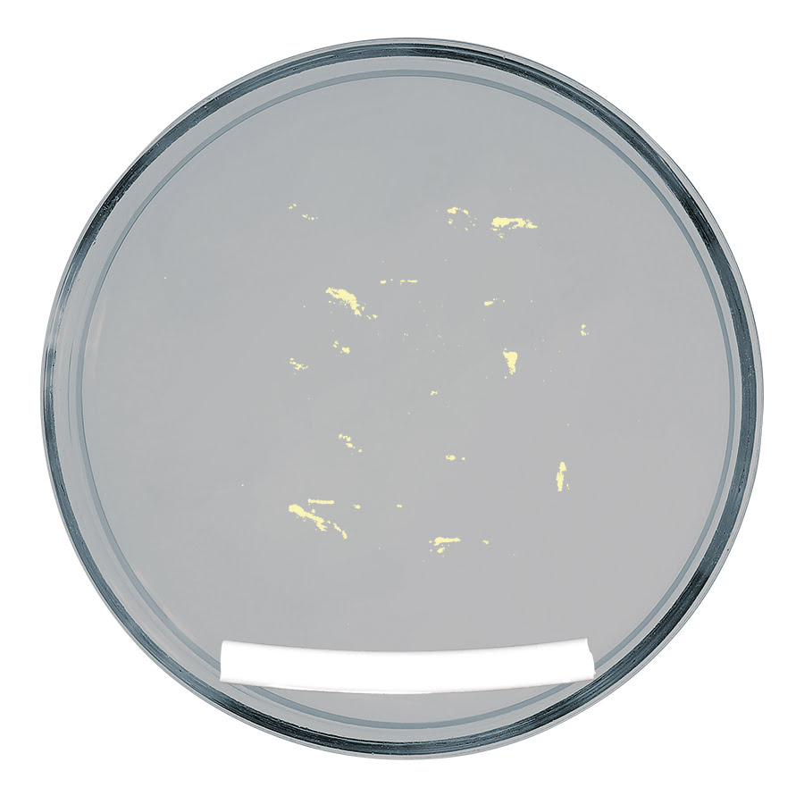 drainova® ArgentiC Petrischale Test