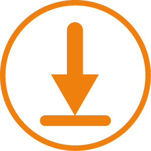 Icon Downloads orange