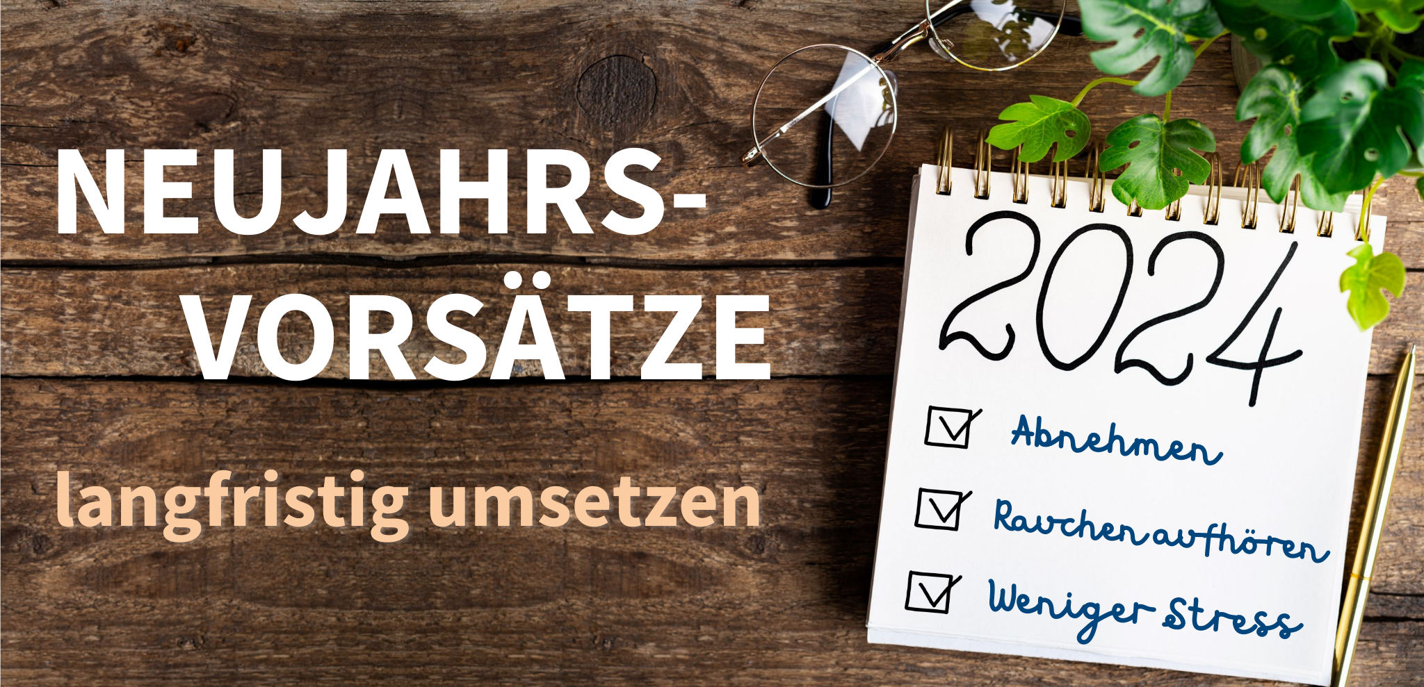 Neujahrsvors&auml;tze